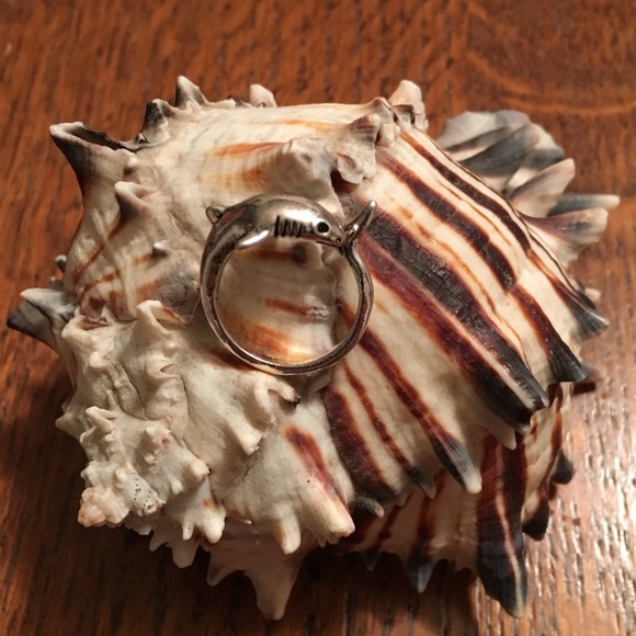 Silver Shark Ring - Picture 2 of 4